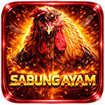 sabung ayam